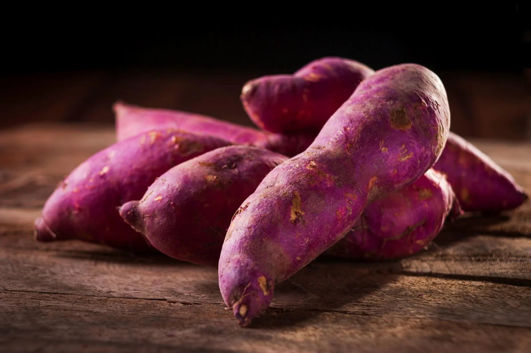 Can Dogs Eat Sweet Potatoes? Nutritionist Shares Benefits, Risks ...